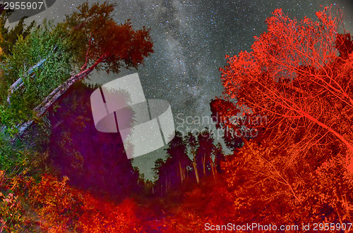 Image of a beautiful night sky, the Milky Way and the trees