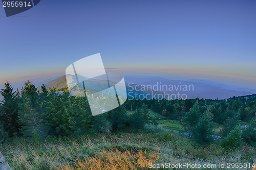 Image of top of mount mitchell before sunset