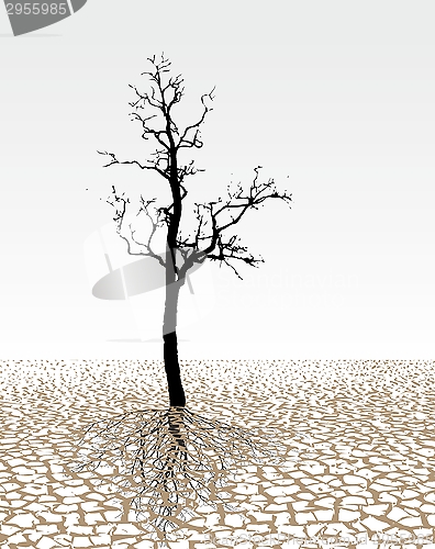 Image of Parched land 