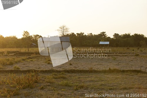 Image of Flores Farmland