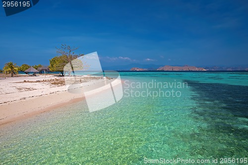 Image of Komodo Island