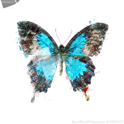 Image of Watercolor Image Of Tropical Butterfly