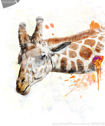 Image of Watercolor Image Of Giraffe