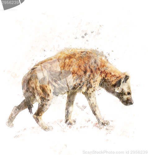 Image of Watercolor Image Of Spotted Hyena