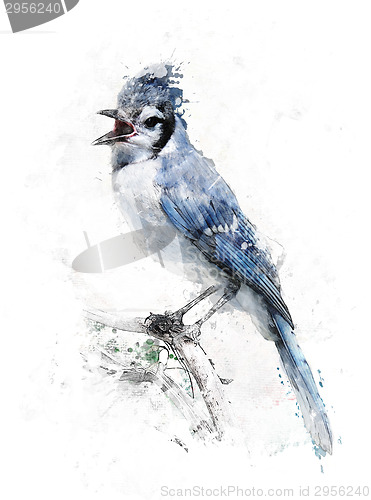 Image of Watercolor Image Of Blue Jay