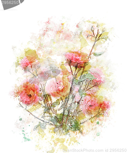 Image of Watercolor Image Of Roses