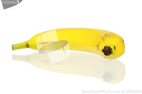 Image of Ripe bananas