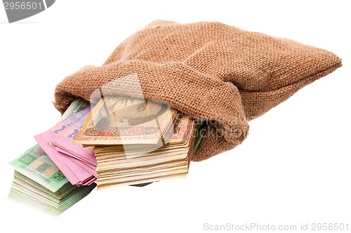 Image of Money bag with hryvna