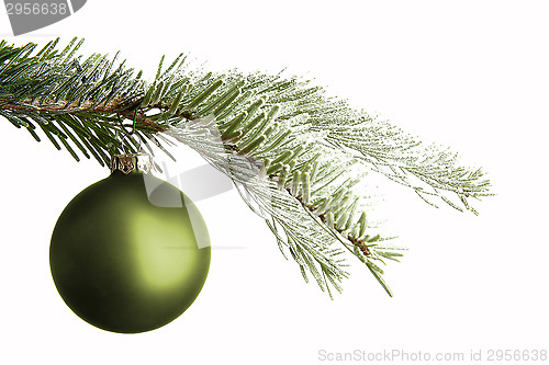 Image of Green Christmas ball on a snowy branch