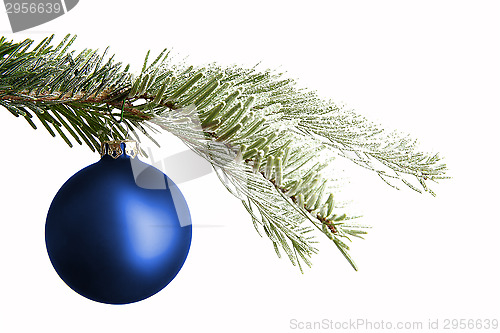 Image of Blue Christmas ball on a snowy branch