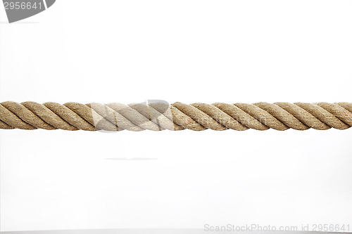 Image of Rope in front of a white background