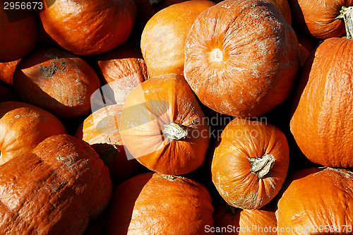 Image of Pumpkins