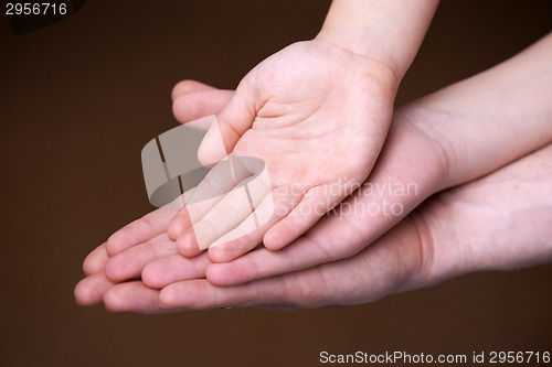 Image of Family hands