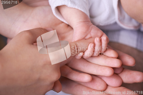 Image of Family hands