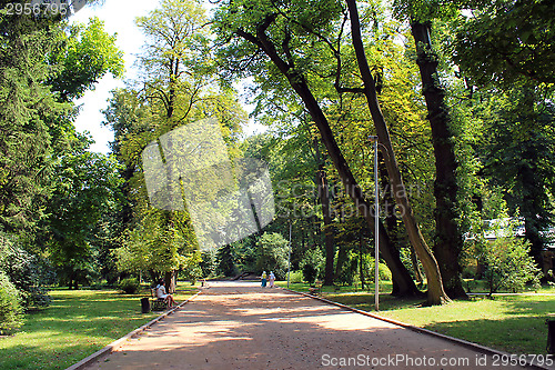 Image of Beautiful park with many green trees