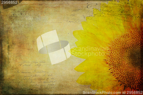 Image of Vintage Sunflower