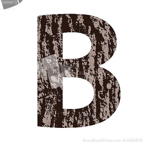 Image of letter B made from oak bark