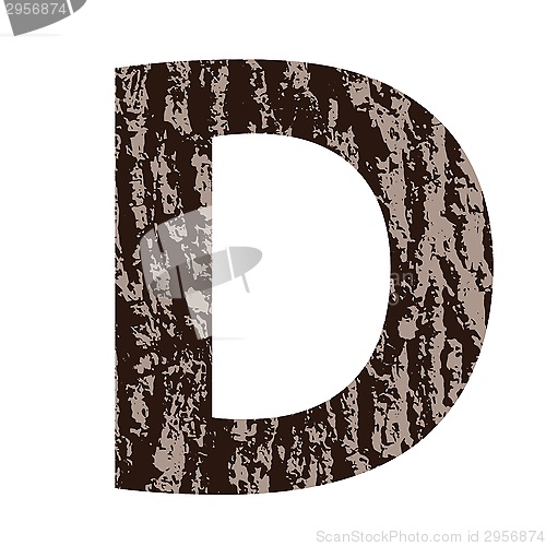 Image of letter D made from oak bark