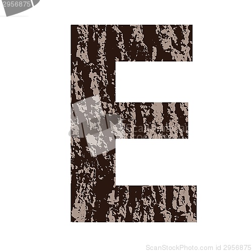 Image of letter E made from oak bark