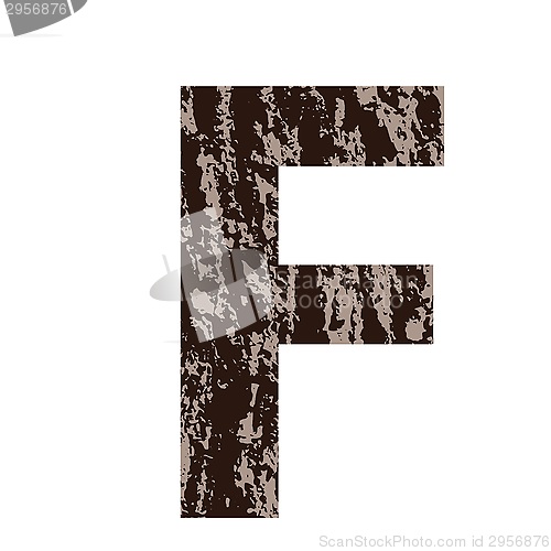 Image of letter F made from oak bark