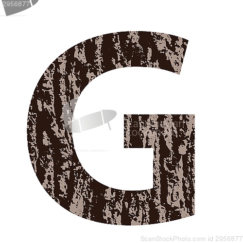 Image of letter G made from oak bark