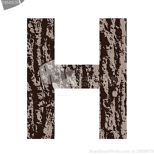 Image of letter H made from oak bark