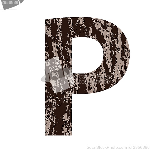 Image of letter P made from oak bark