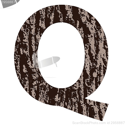 Image of letter Q made from oak bark