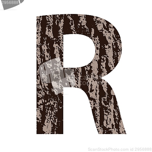 Image of letter R made from oak bark