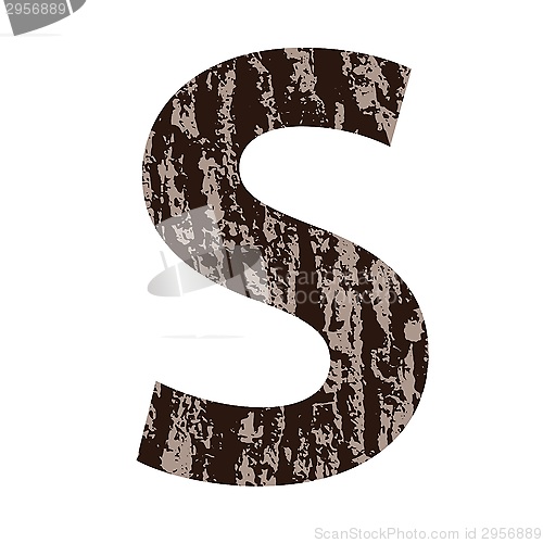 Image of letter S made from oak bark