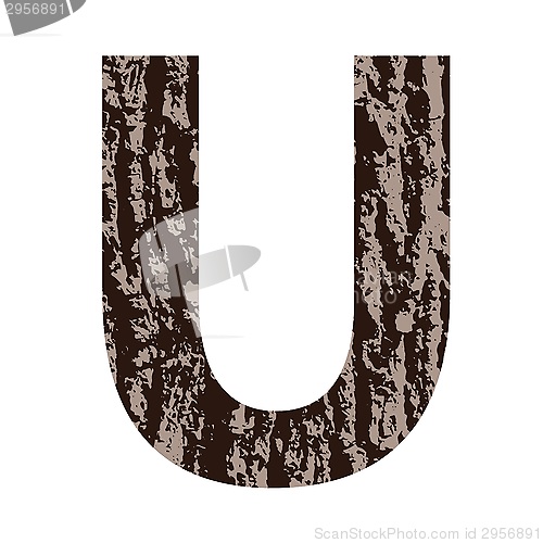 Image of letter U made from oak bark