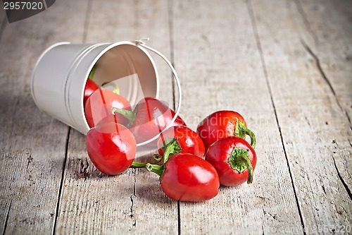 Image of red hot chilli peppers in little bucket 