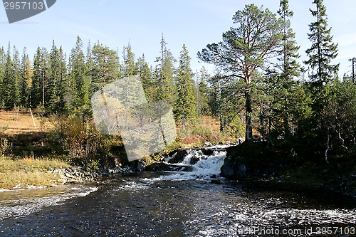 Image of Creek in autumn