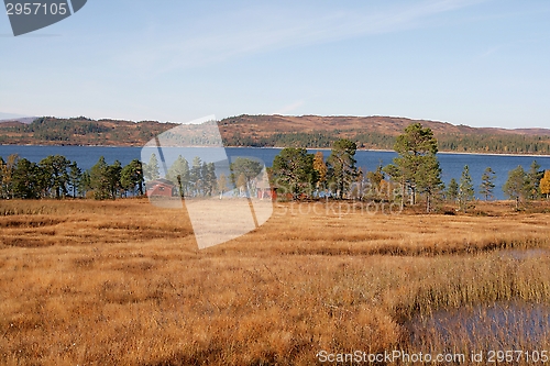 Image of Autumn landscape