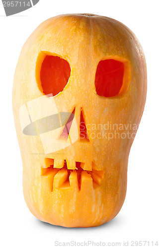 Image of Skull Pumpkin Halloween Jack O_Lantern