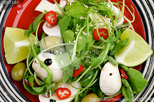 Image of Savory Salad