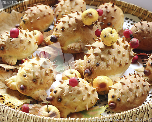 Image of Cookies hedgehogs 