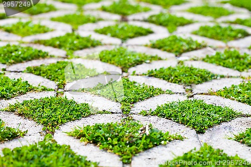 Image of stone block walk path in the park with green grass