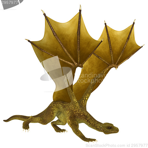 Image of Golden Dragon