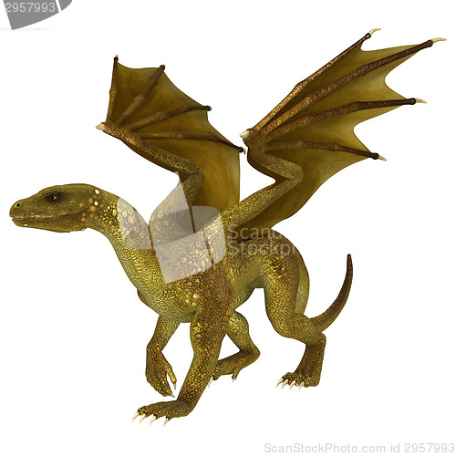 Image of Golden Dragon