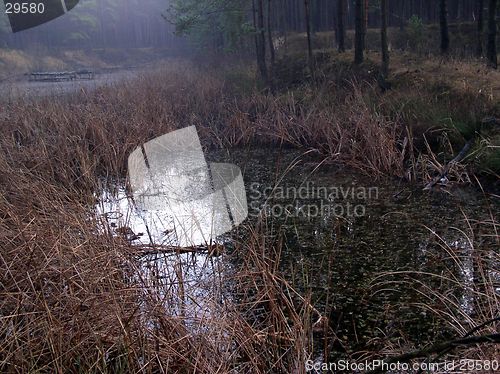 Image of gloomy lake