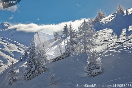 Image of Winter Landscape