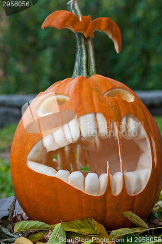 Image of Halloween pumpkin