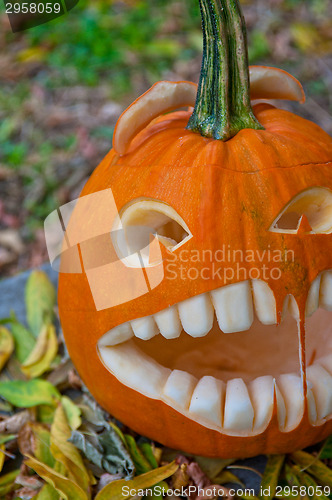 Image of Halloween pumpkin