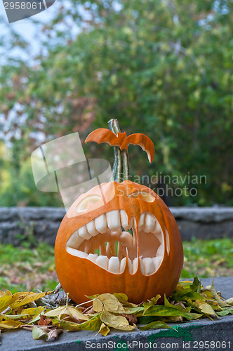 Image of Halloween pumpkin