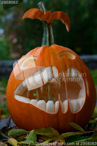 Image of Halloween pumpkin