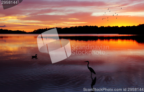 Image of Sunrise Narrabeen Lakes