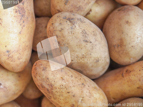 Image of Potato vegetable