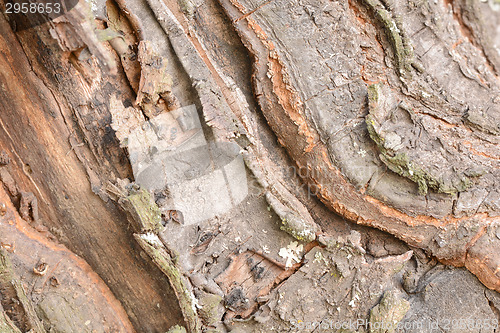 Image of cracked wooden board