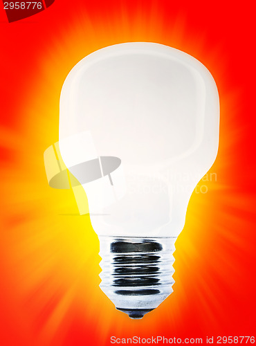 Image of White bulb